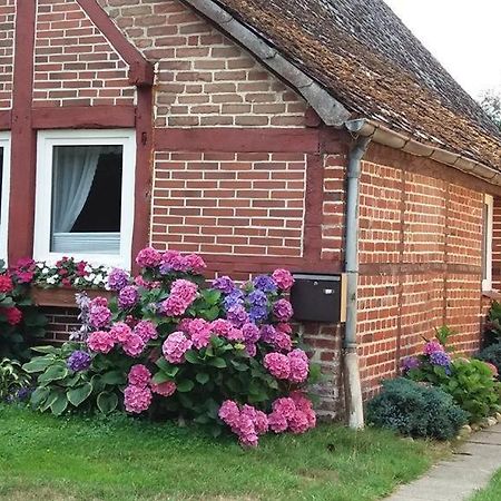 Von Wiegen, Ferienwohnungen Schneverdingen Buitenkant foto
